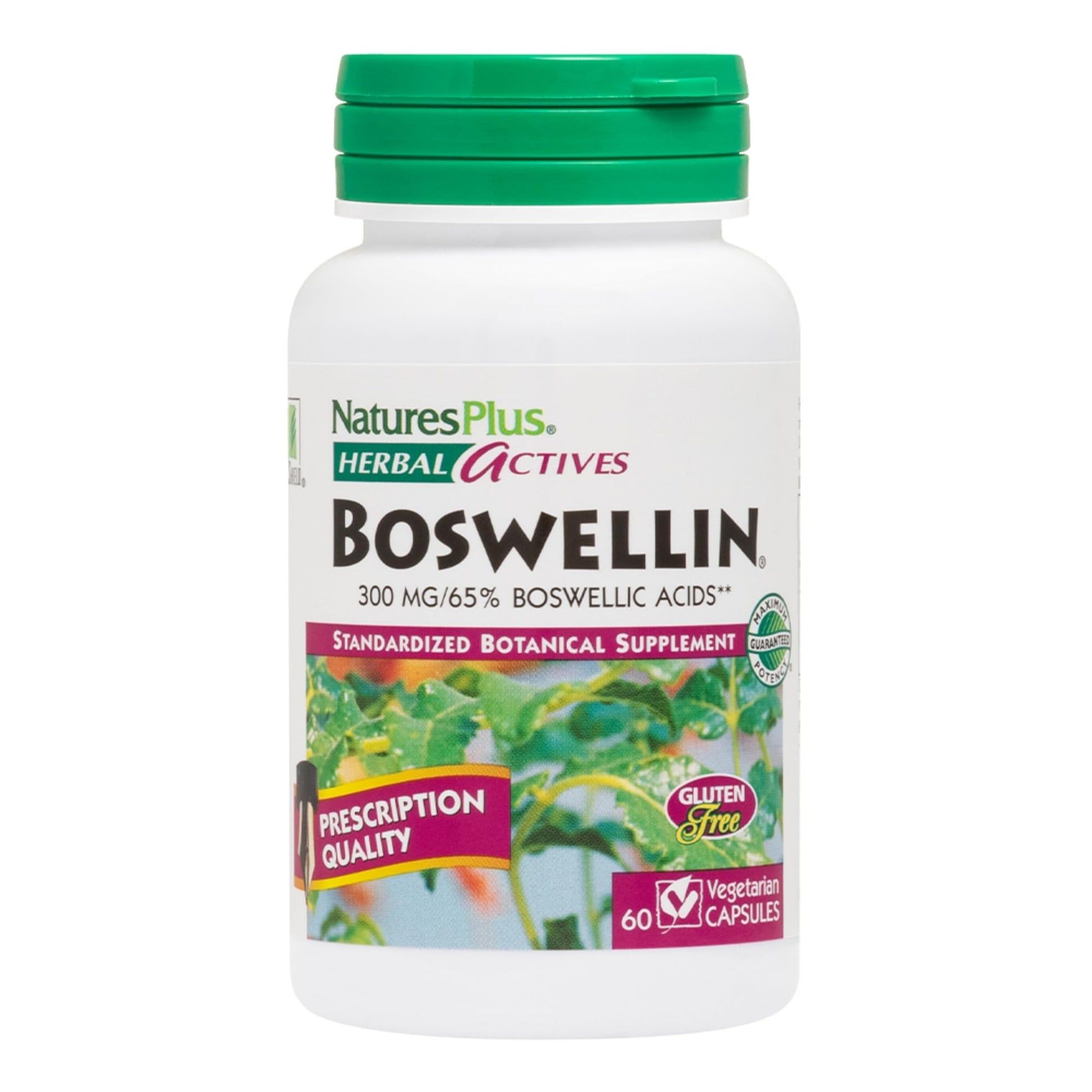 NaturesPlus Herbal Actives Boswellin 60 Capsules
