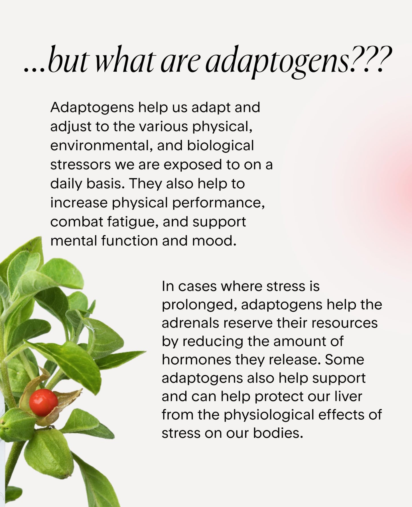 Goodness Lover Ashwagandha Stress and Sleep Support 60 Capsules