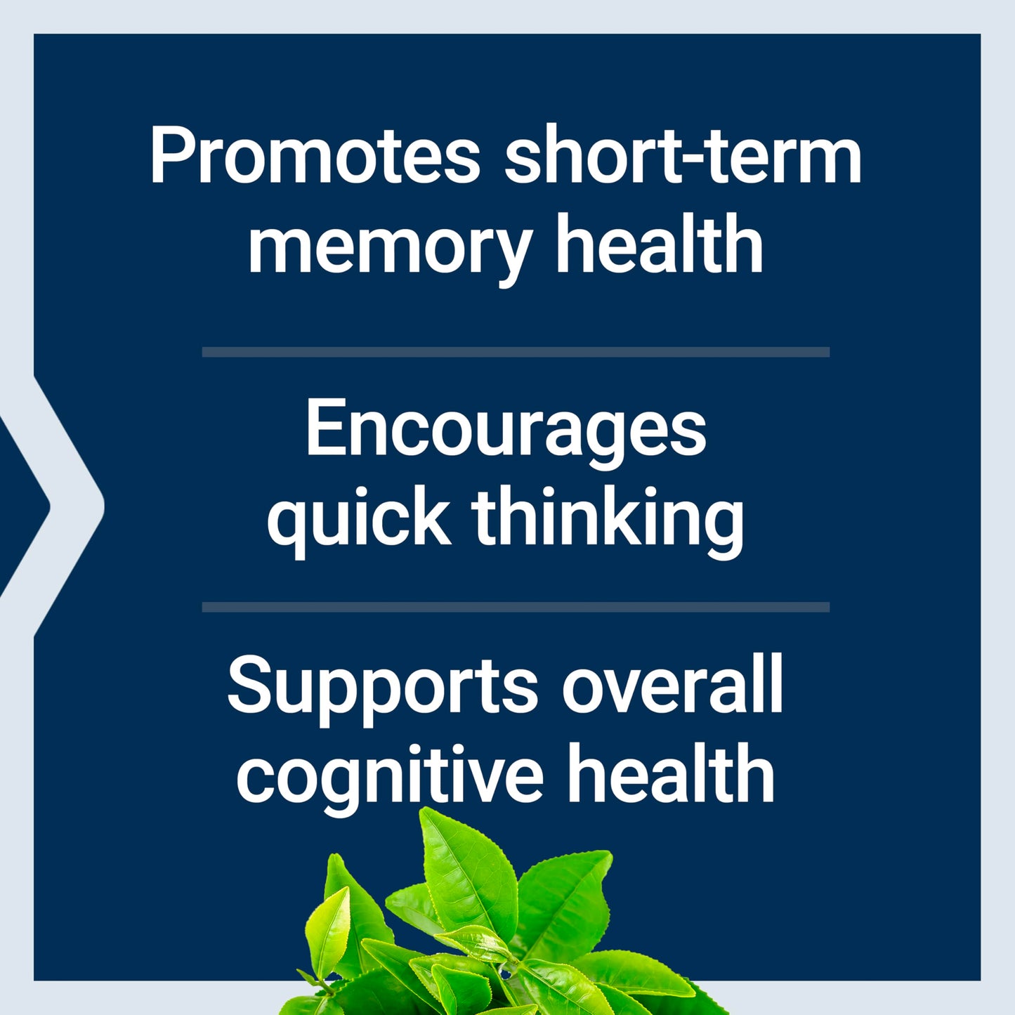 Life Extension Neuro-Mag Magnesium L-Threonate Capsules 90 Count