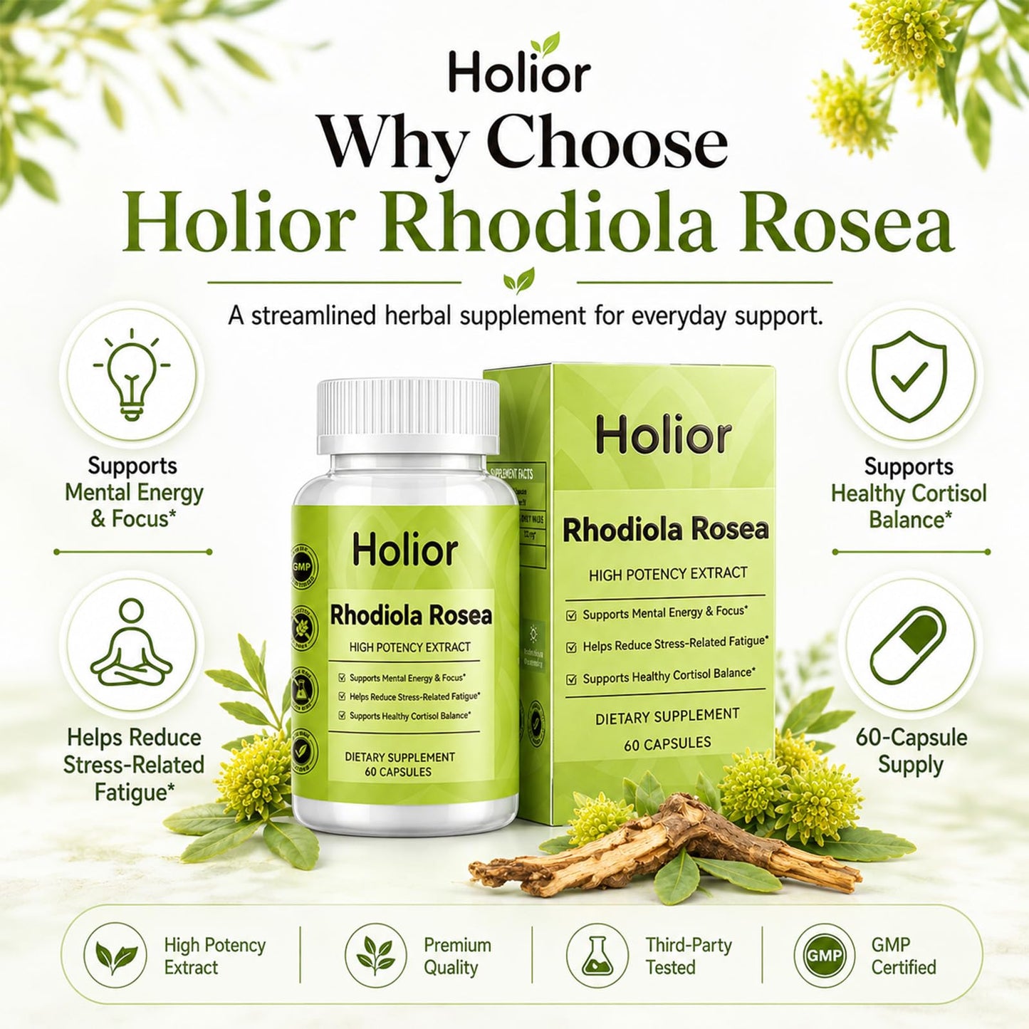 Ceduce Holior Rhodiola Rosea Supplement with Salidroside Capsule 60 Count