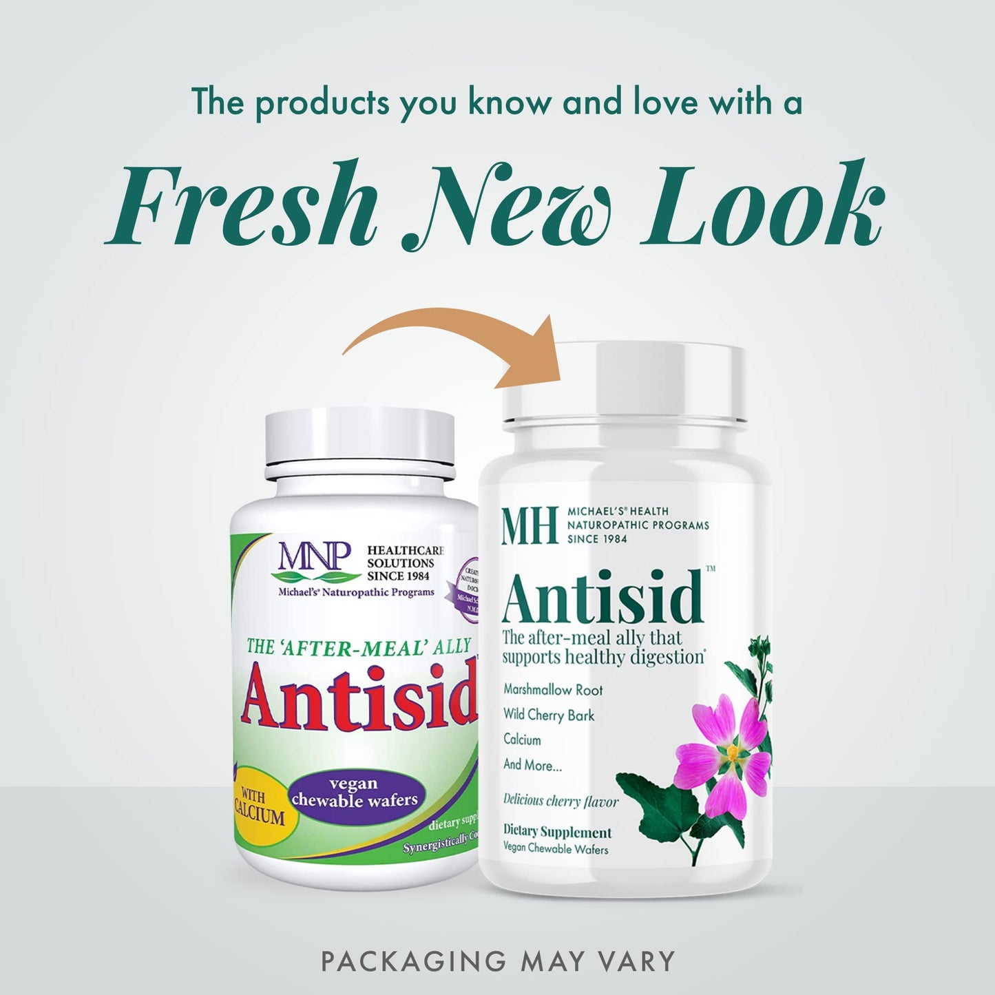 Michael's Health Naturopathic Programs Antisid Chewable 90 Count