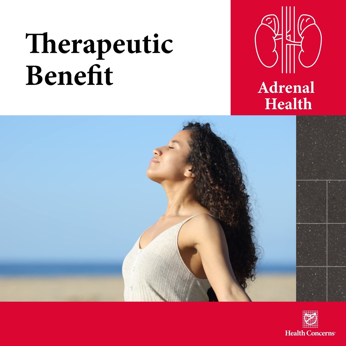 Health Concerns Adrenosen Adrenal Fatigue & Burnout Support Supplement Capsules, 90