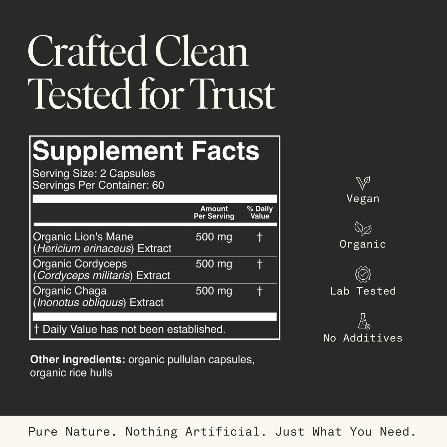 Fantastic Fungi Lions Mane, Cordyceps and Chaga Mushroom Blend Capsules 120 Capsules