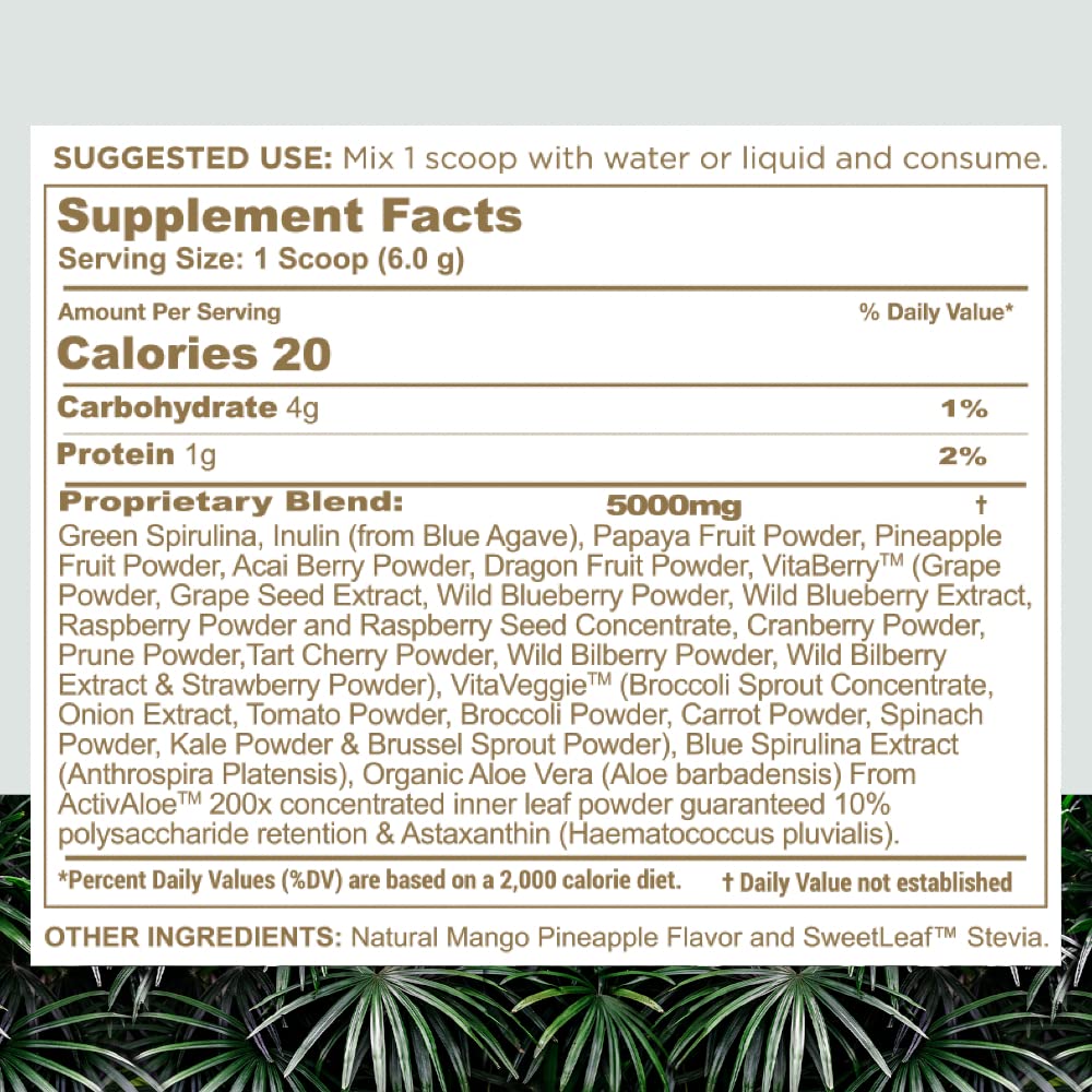 nbpure Earthy Andy Superfood Paradise, Mango Pineapple Powder 6.35 oz