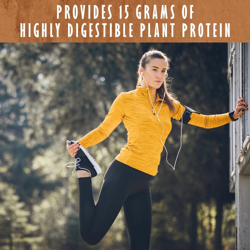 Garden of Life Organic Plant Protein Chocolate Flavor Protein Powder with Probiotics & Enzymes, 10 Servings
