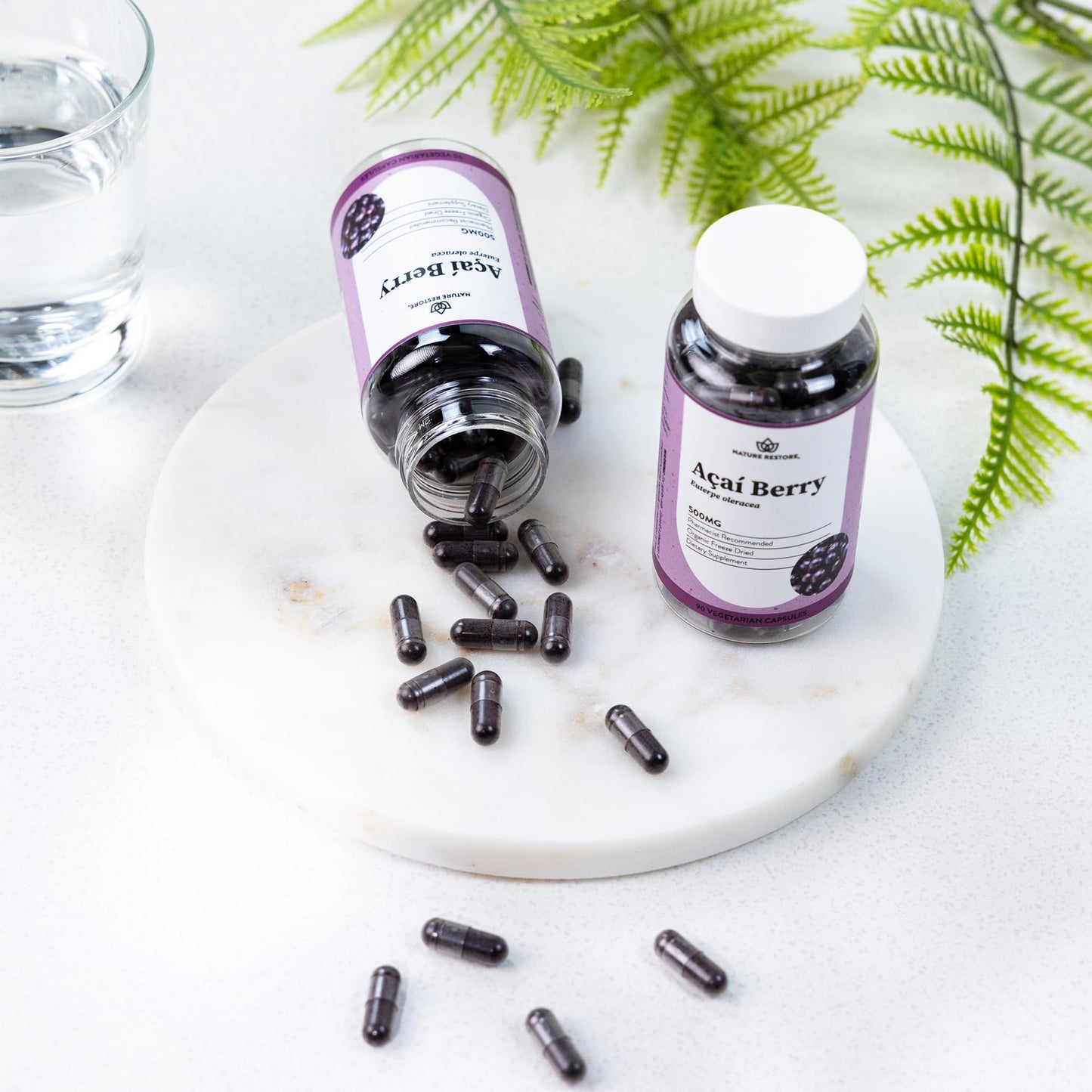 Nature Restore Organic Acai Berry Supplement Capsules 90 Count