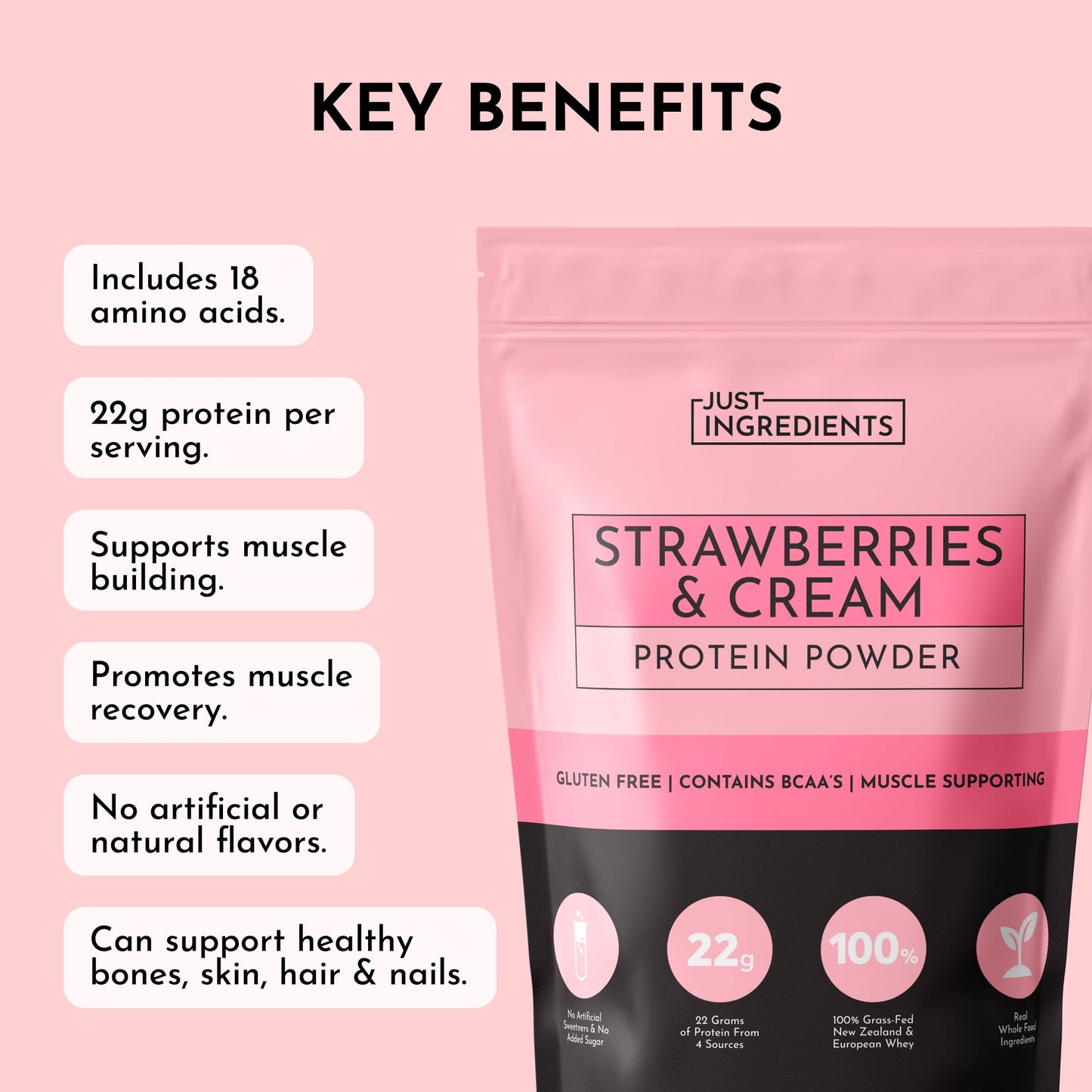 JUST INGREDIENTS Strawberries & Cream Protein Powder, 20 Servings
