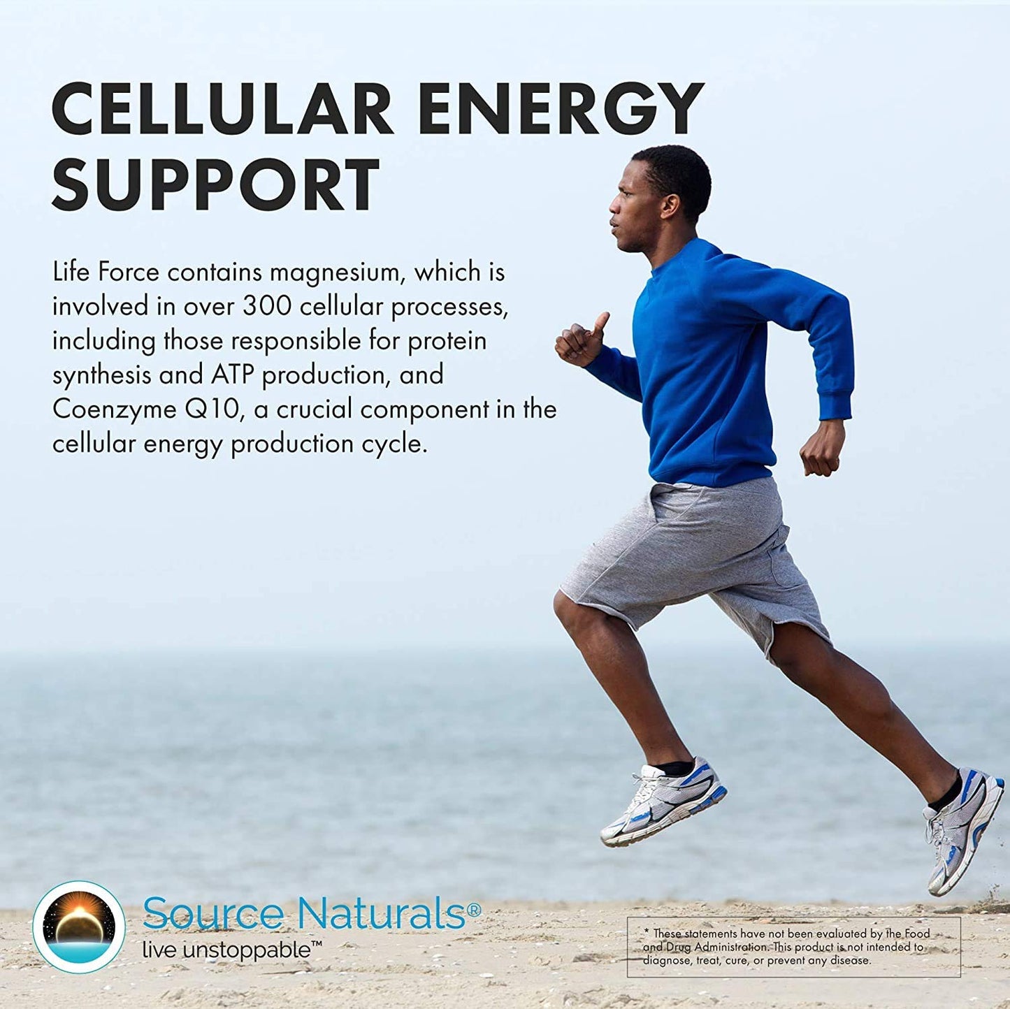 Source Naturals Men's Life Force Daily Multivitamin & Immune Health Supplement Tablets 90