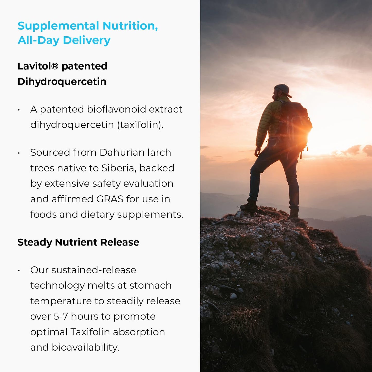 Endurance Products Taxifolin Complex SR with Vitamin C & Zinc, Dihydroquercetin Capsules, 60