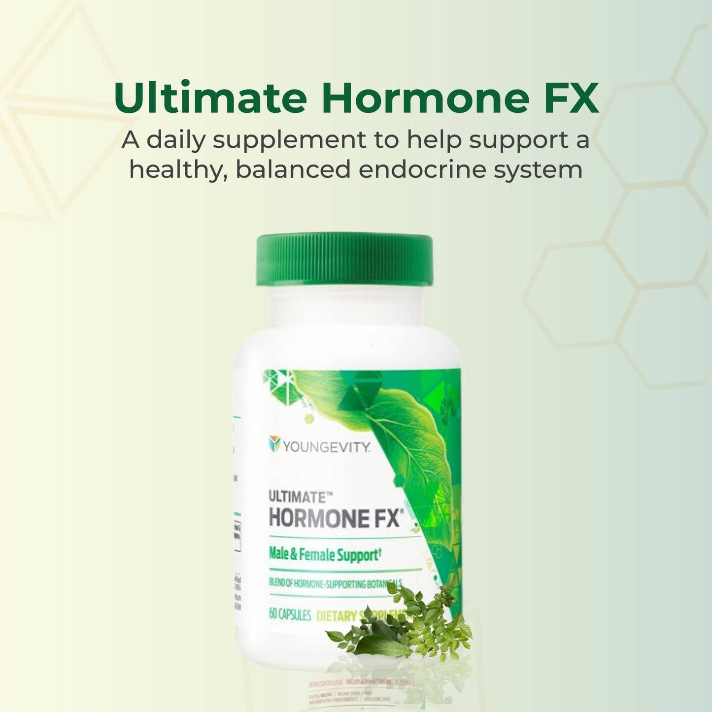 Youngevity Ultimate Hormone FX Hormone Support Supplement, 60 Capsules