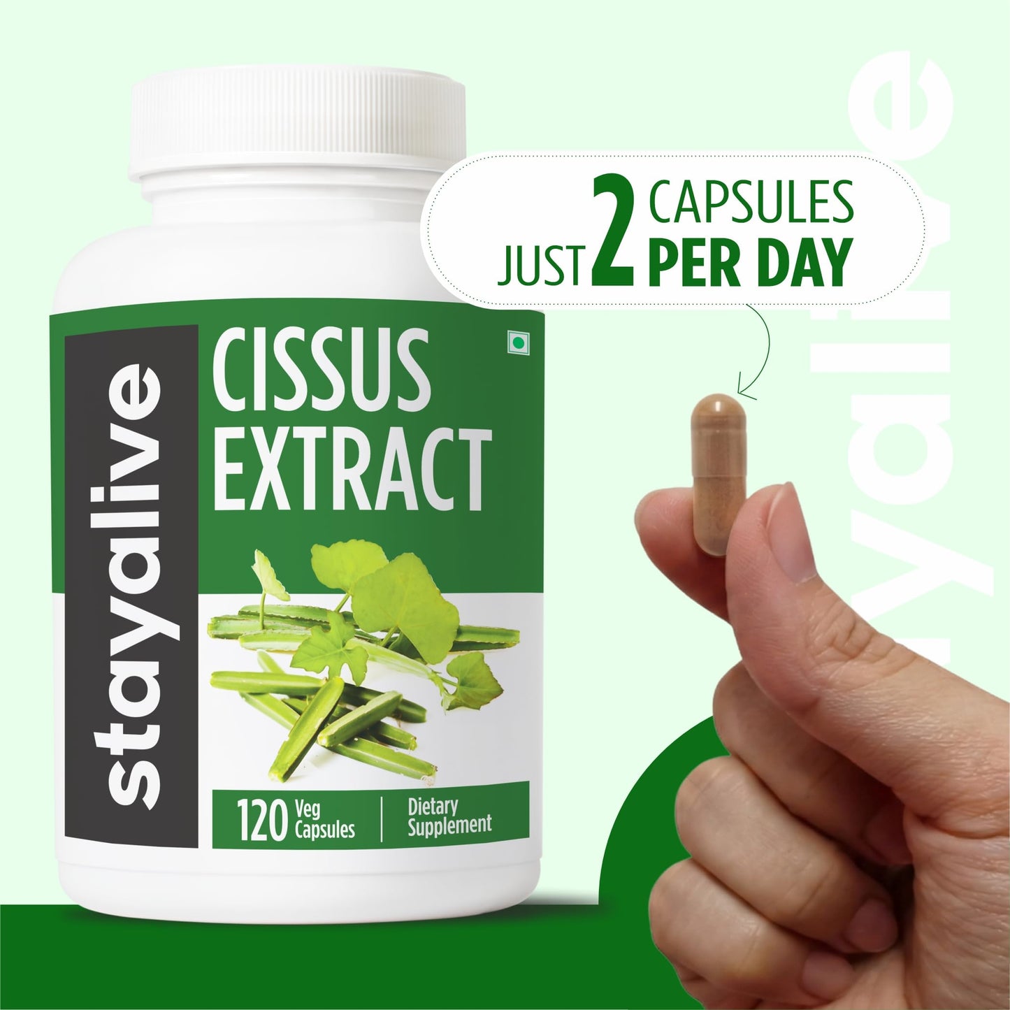 STAY ALIVE Cissus Quadrangularis Supplement 1000mg Capsule, 120 Count