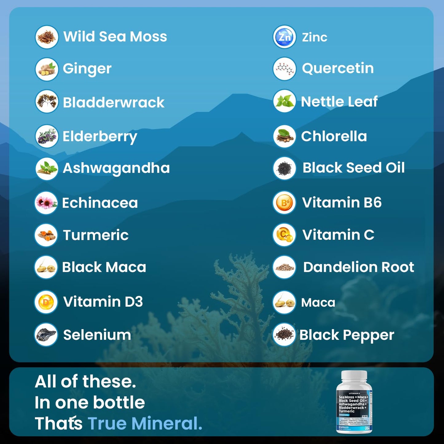 Vitamax Sea Moss Maca Black Seed Oil Ashwagandha Bladderwrack Turmeric Elderberry Vitamins C & D3 Dandelion & Black Pepper, 60 Capsules