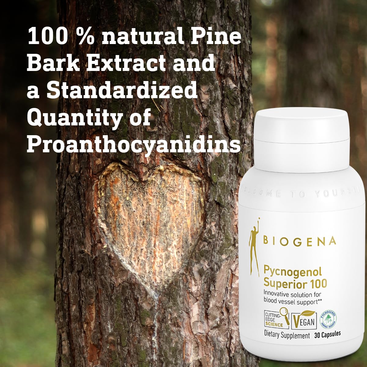 BIOGENA Pycnogenol 100 mg Gold with Premium Patented French Maritime Pine Bark Extract (Pinus Pinaster) Capsules, 30 Count