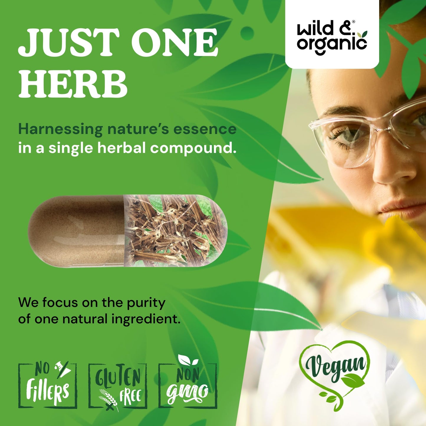 Wild & Organic Stinging Nettle Root Capsules 90 Capsules