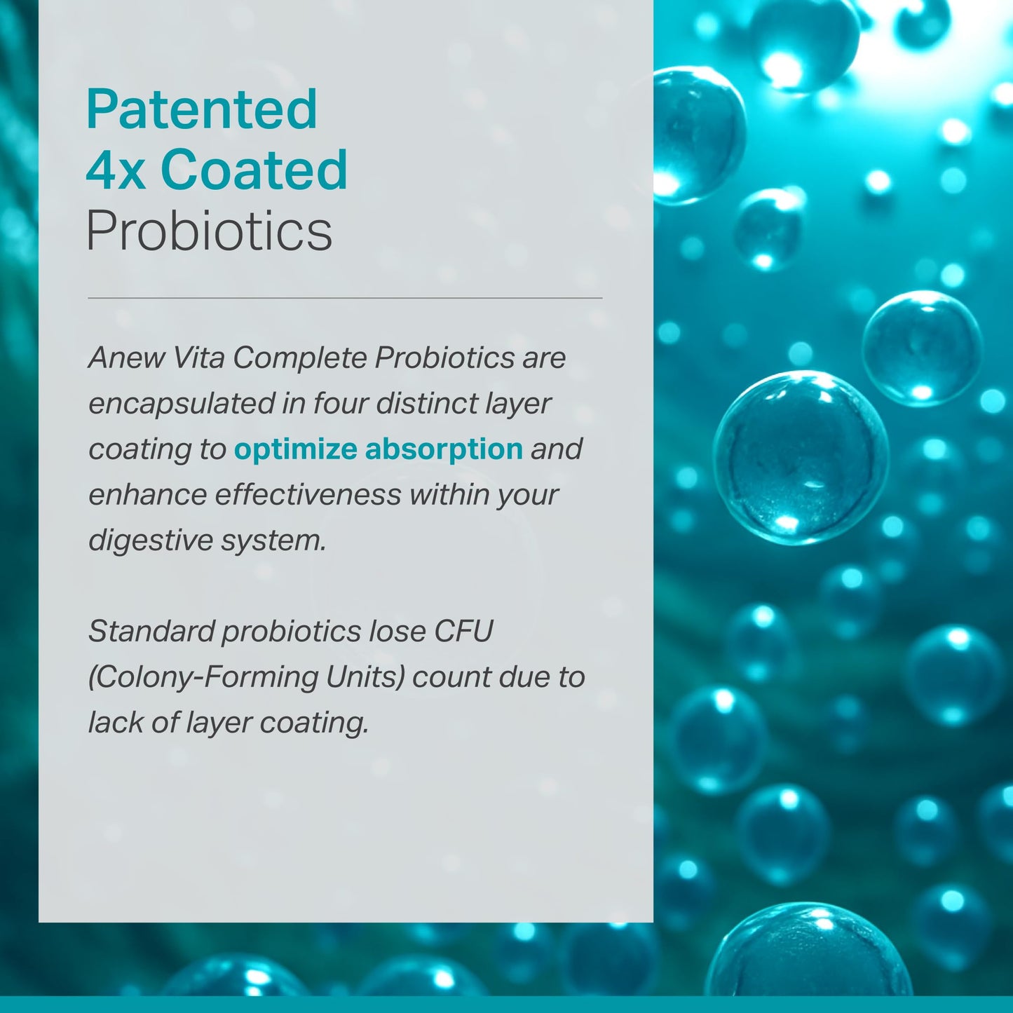 Anew Vita Complete Probiotic Blend 60 Capsules