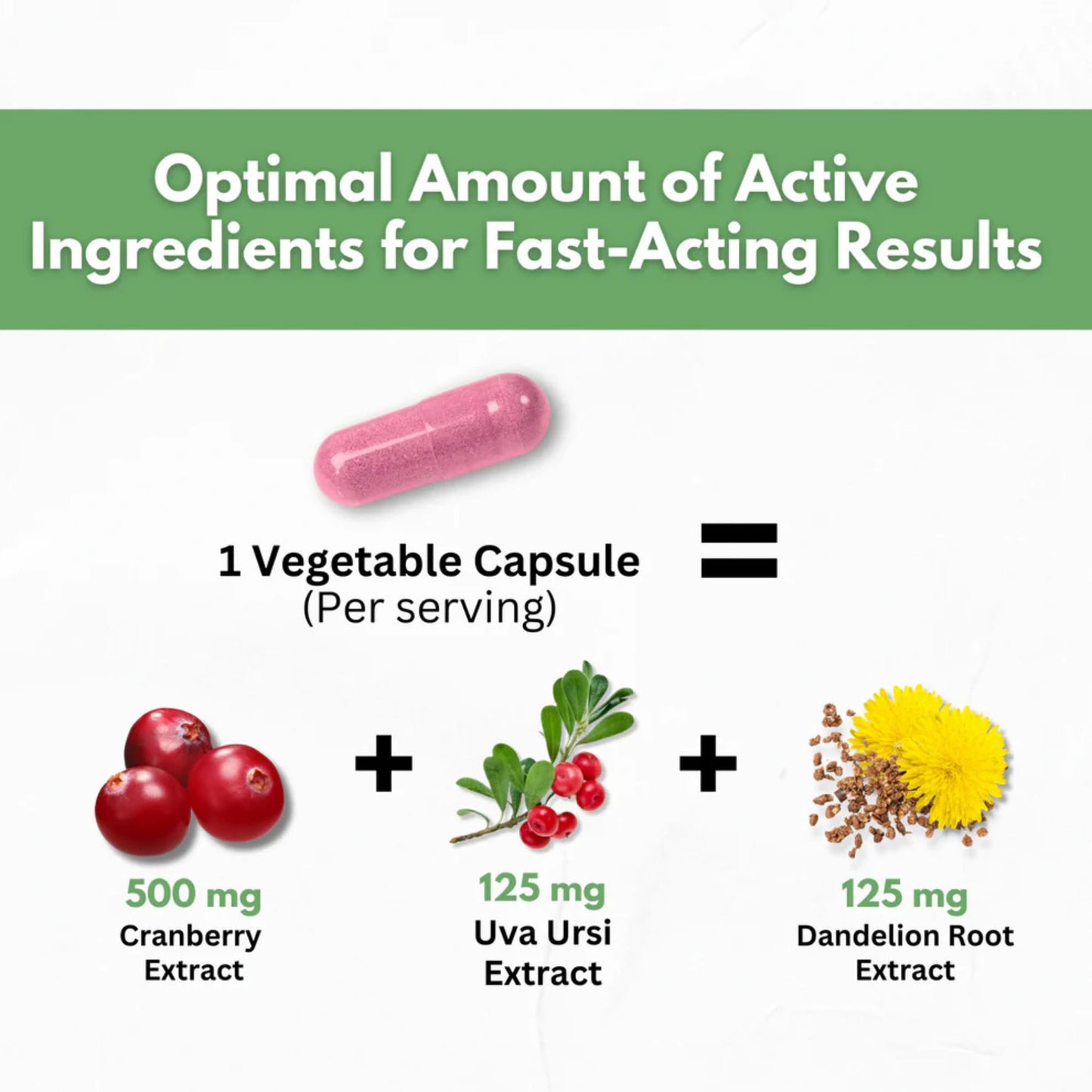 HCL Herbal Code Labs Cranberry Extract 50:1 Whole Fruit Concentrate with Dandelion & Uva Ursi Capsules, 60 Capsules