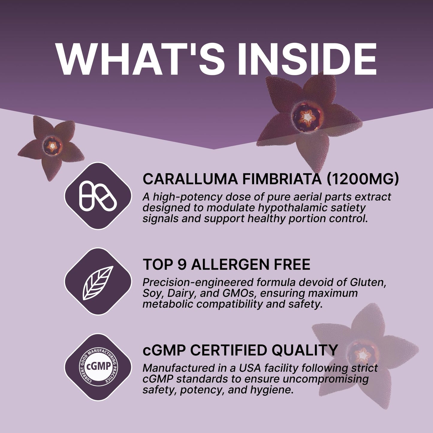 DIPO HEALTH HARMONY Caralluma Fimbriata 1200mg Capsule 60 Count