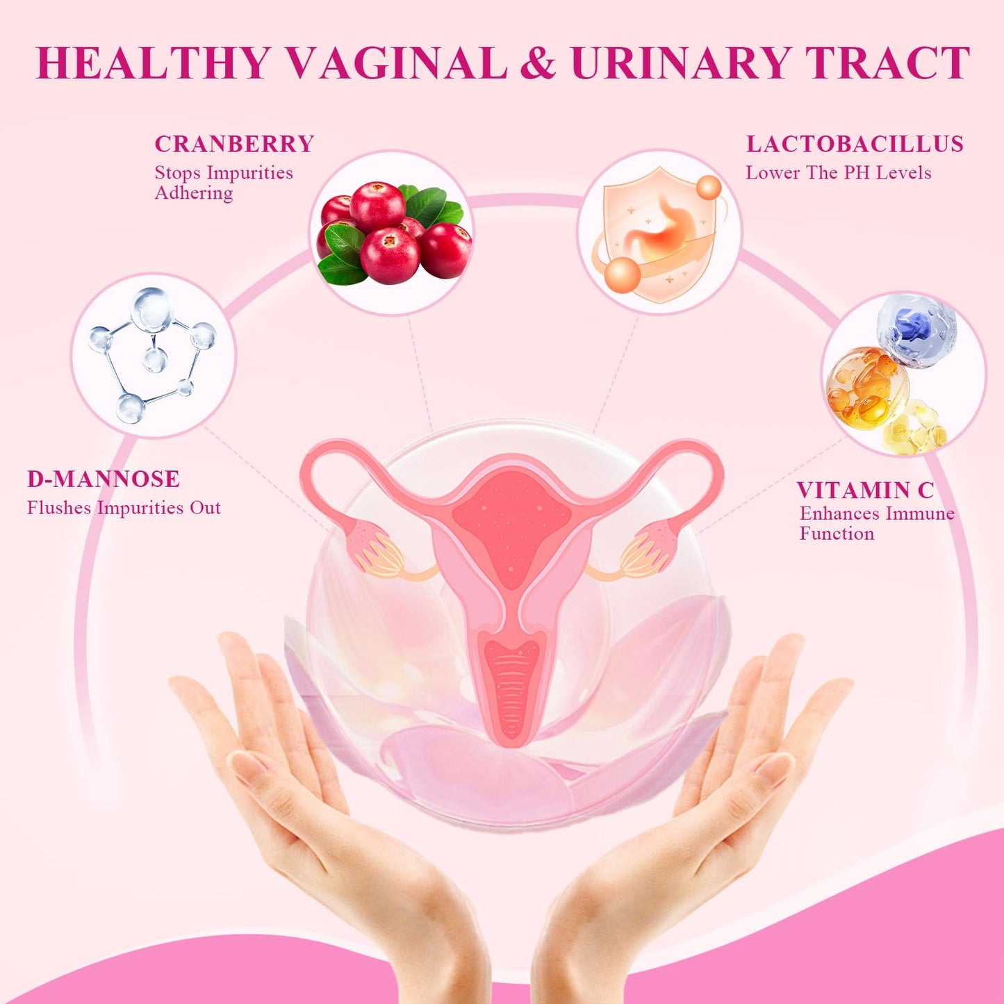 Deepure Probiotics and Prebiotics for Women Capsules, 60 Count