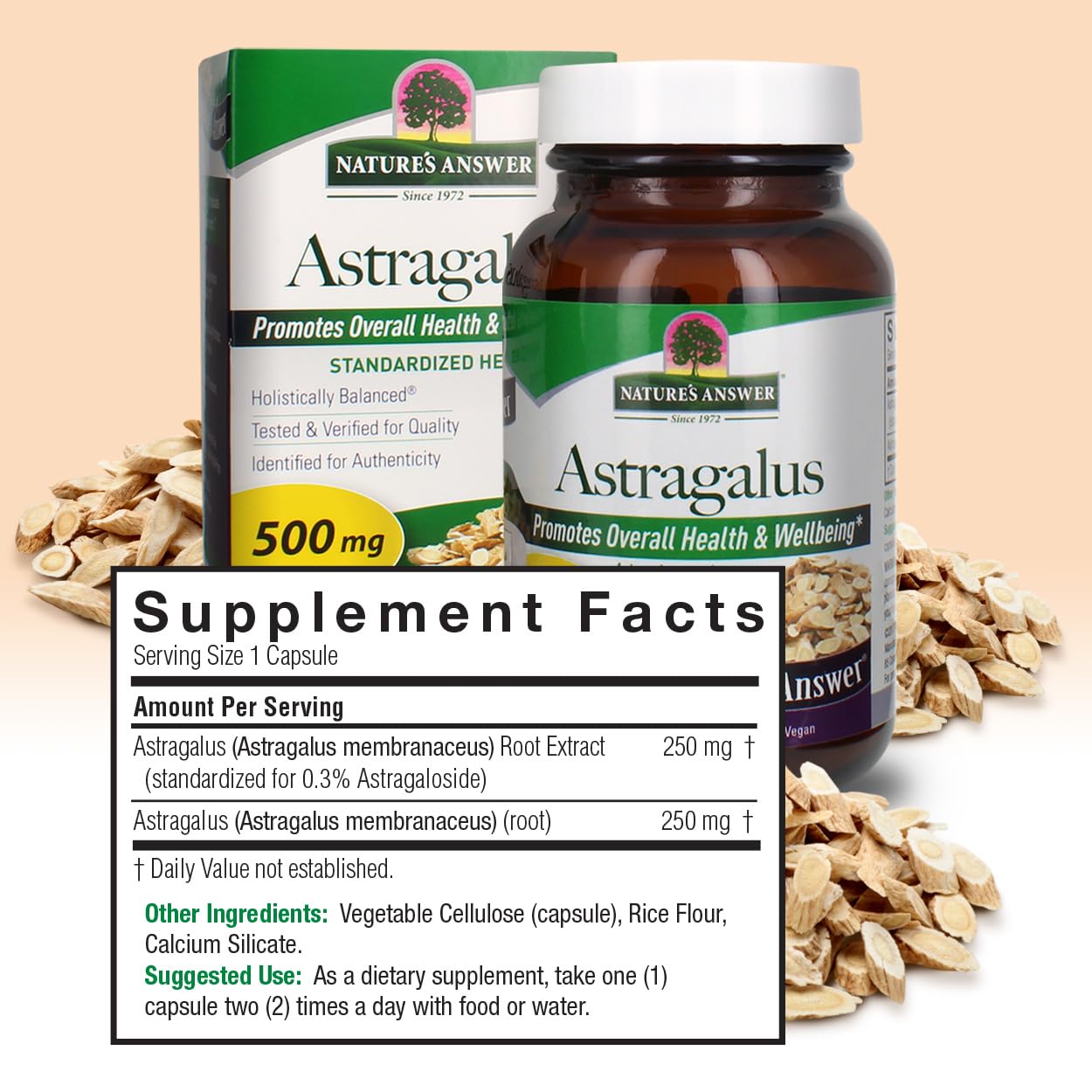 Nature's Answer Astragalus Root Extract Capsule 60 VCaps