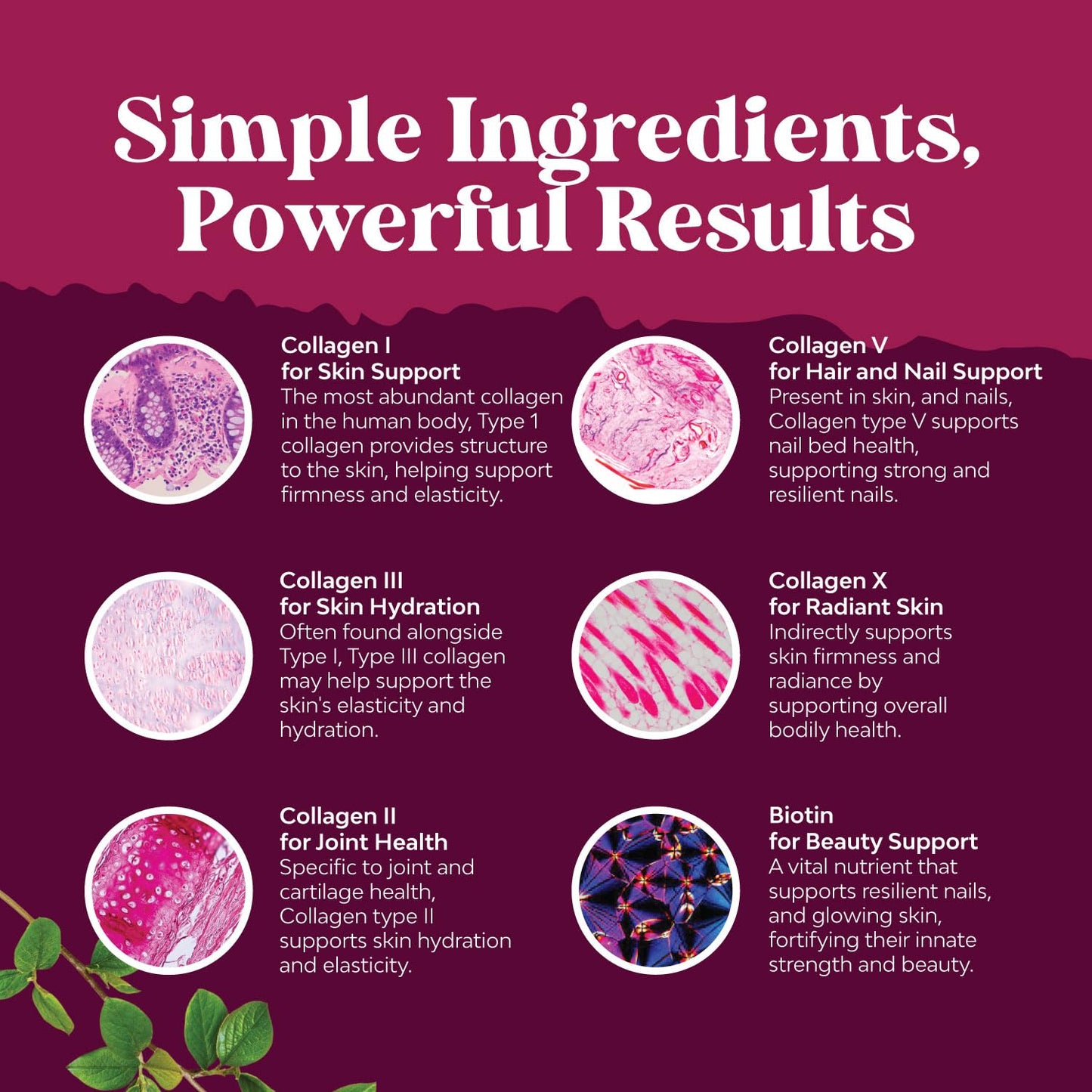 Natures Craft Advanced Multi Collagen Complex Ageless Multi Collagen Peptides with Type 1 2 3 5 & X & Biotin for Hair, Skin and Nails Capsule 90 Count