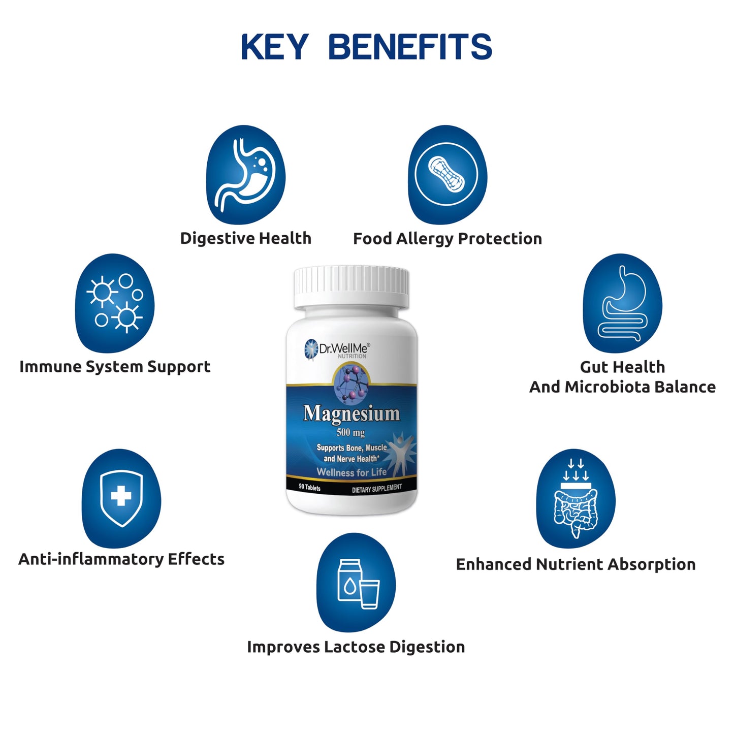 DR WELLME NUTRITION Magnesium Oxide 500mg Tablets, 1 Count