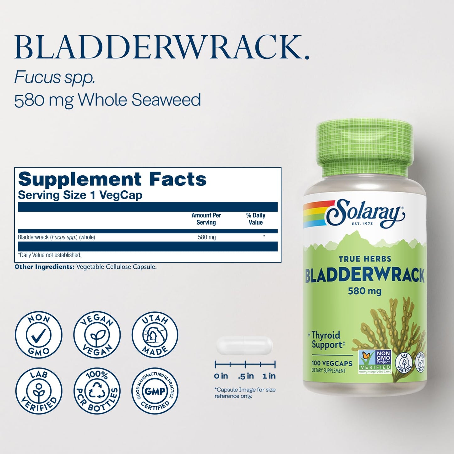 Solaray Bladderwrack 580 mg Capsules, 100 Count