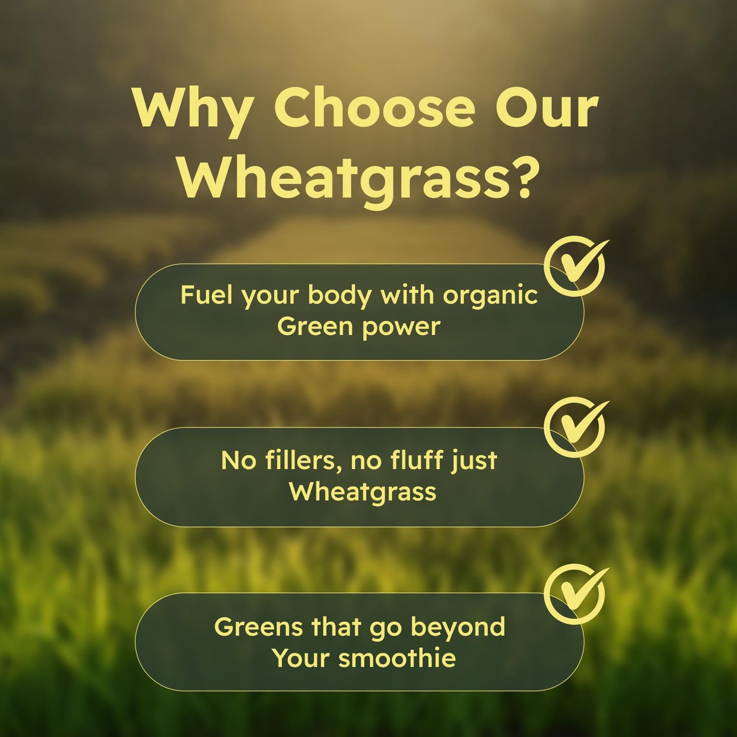 Just Plant Organic Wheat Grass Capsules 500 mg, 90 Count