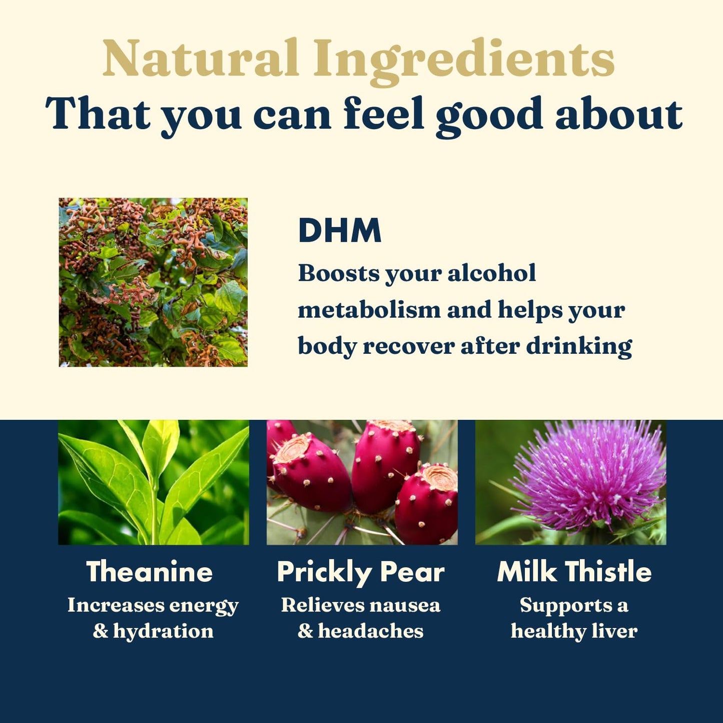 Last Call DHM-Based Supplement 10 Capsules