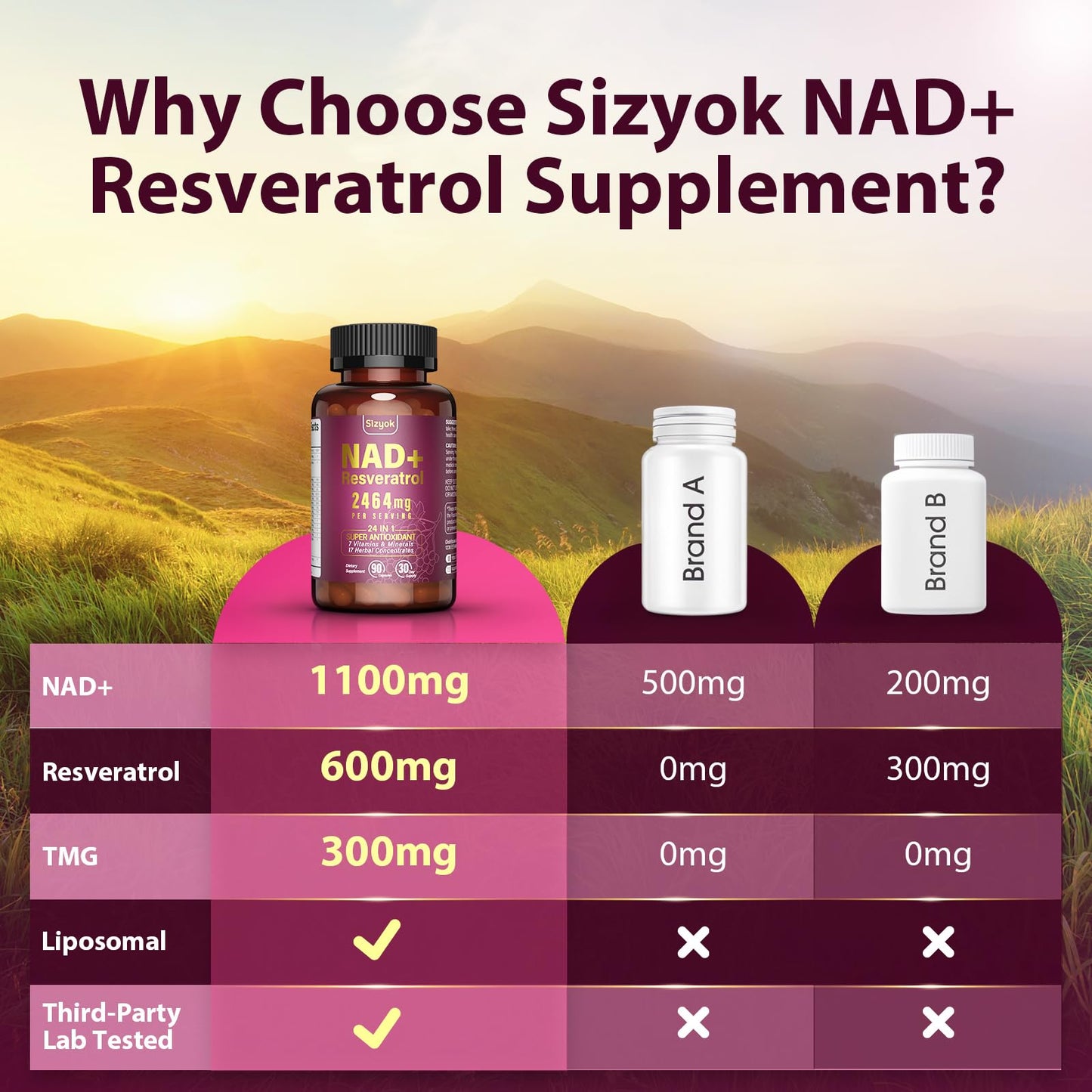 Sizyok NAD Supplement 1100mg + Resveratrol 600mg – Advanced Liposomal NAD+ Capsules with Pterostilbene & Quercetin, 90 Count