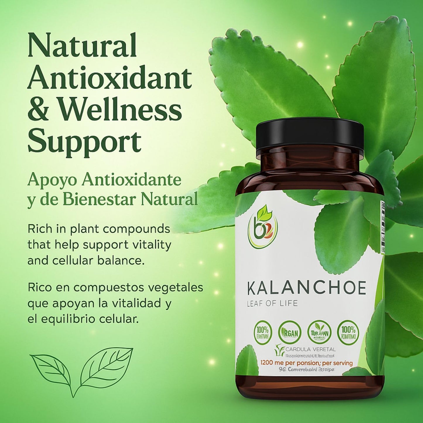 B-Experts Kalanchoe Pinnata Forte Leaf of Life Capsule 90 Count