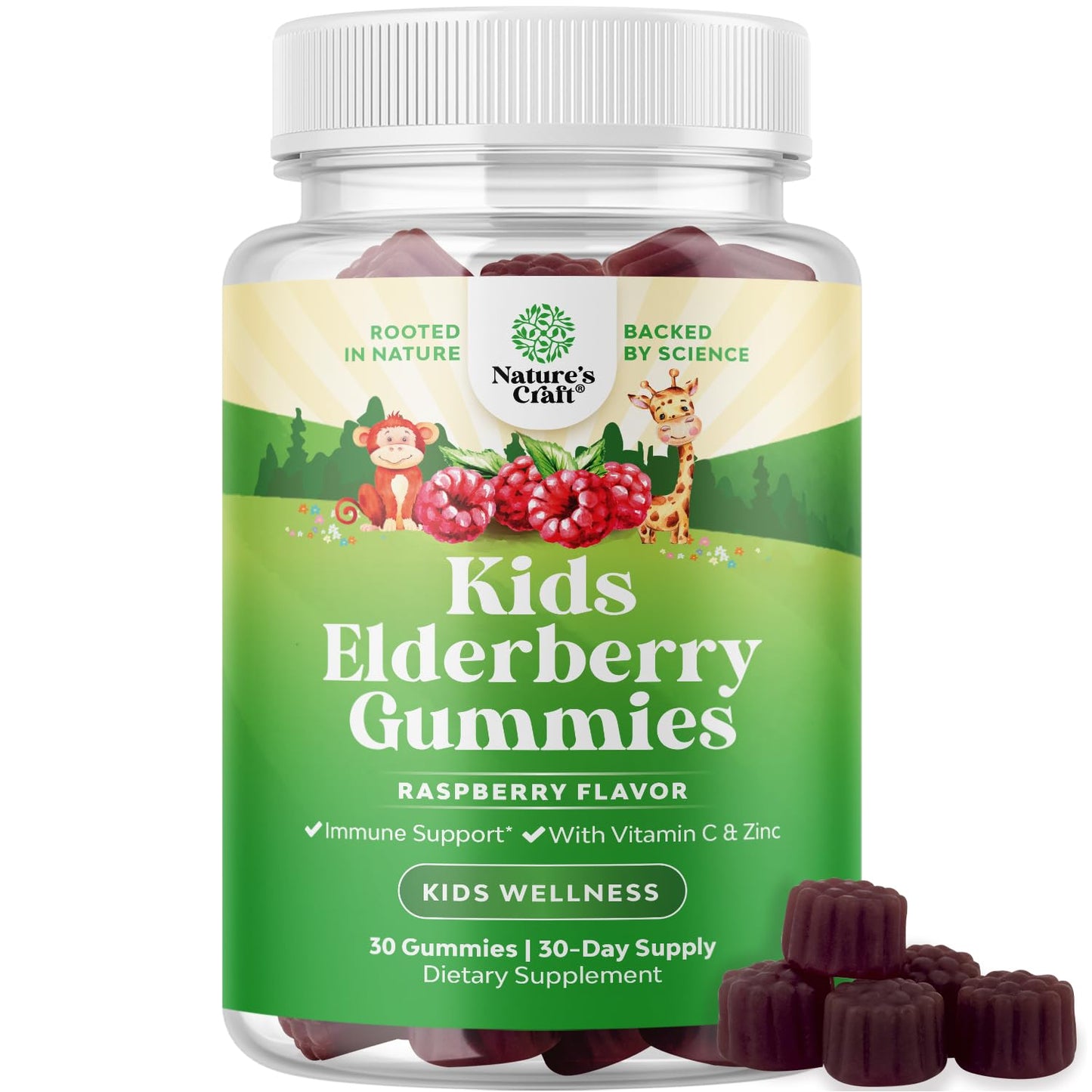 Natures Craft Kids Elderberry Gummies with Zinc and Vitamin C, 30 Count