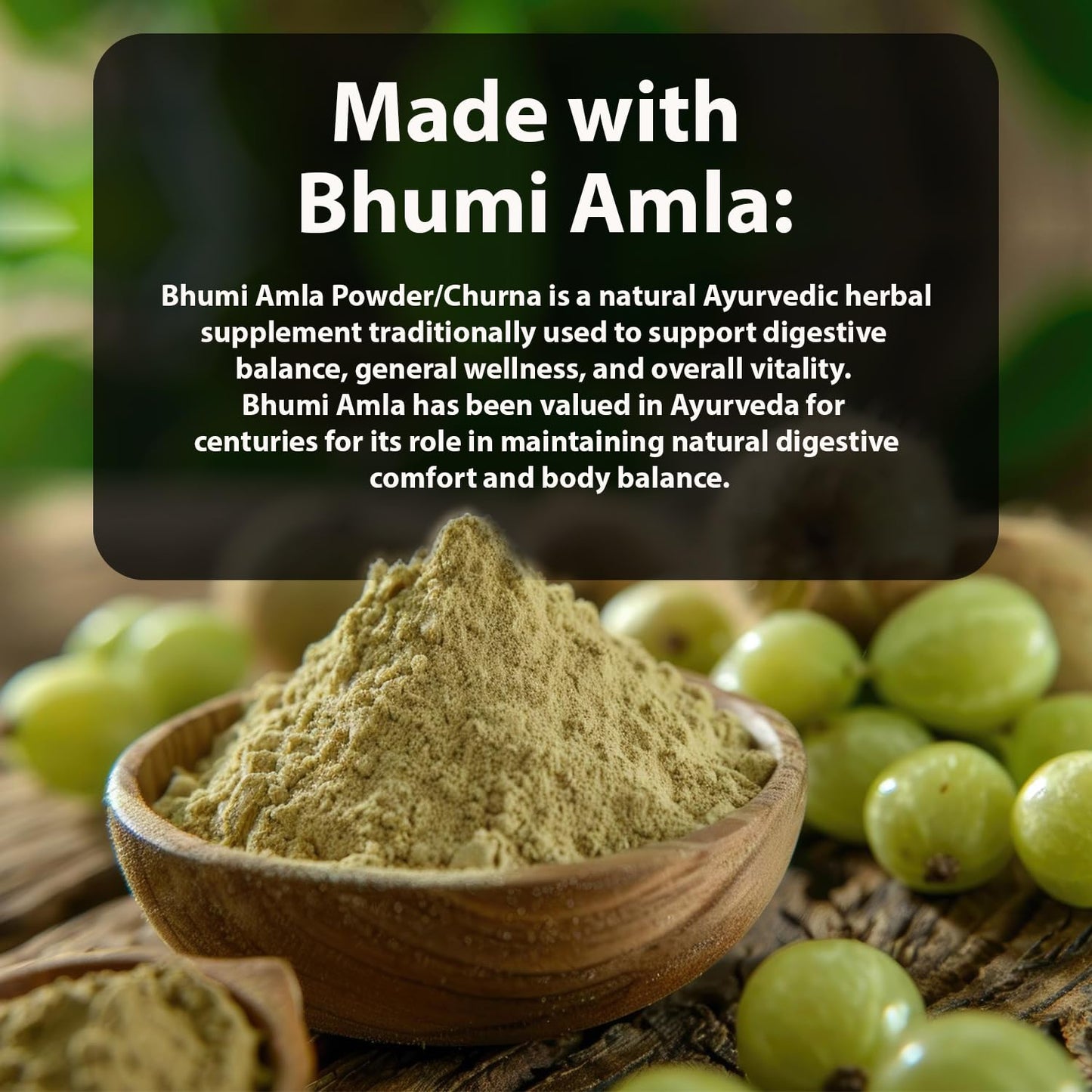 VEDIKROOTS Bhumi Amla Powder 100 g