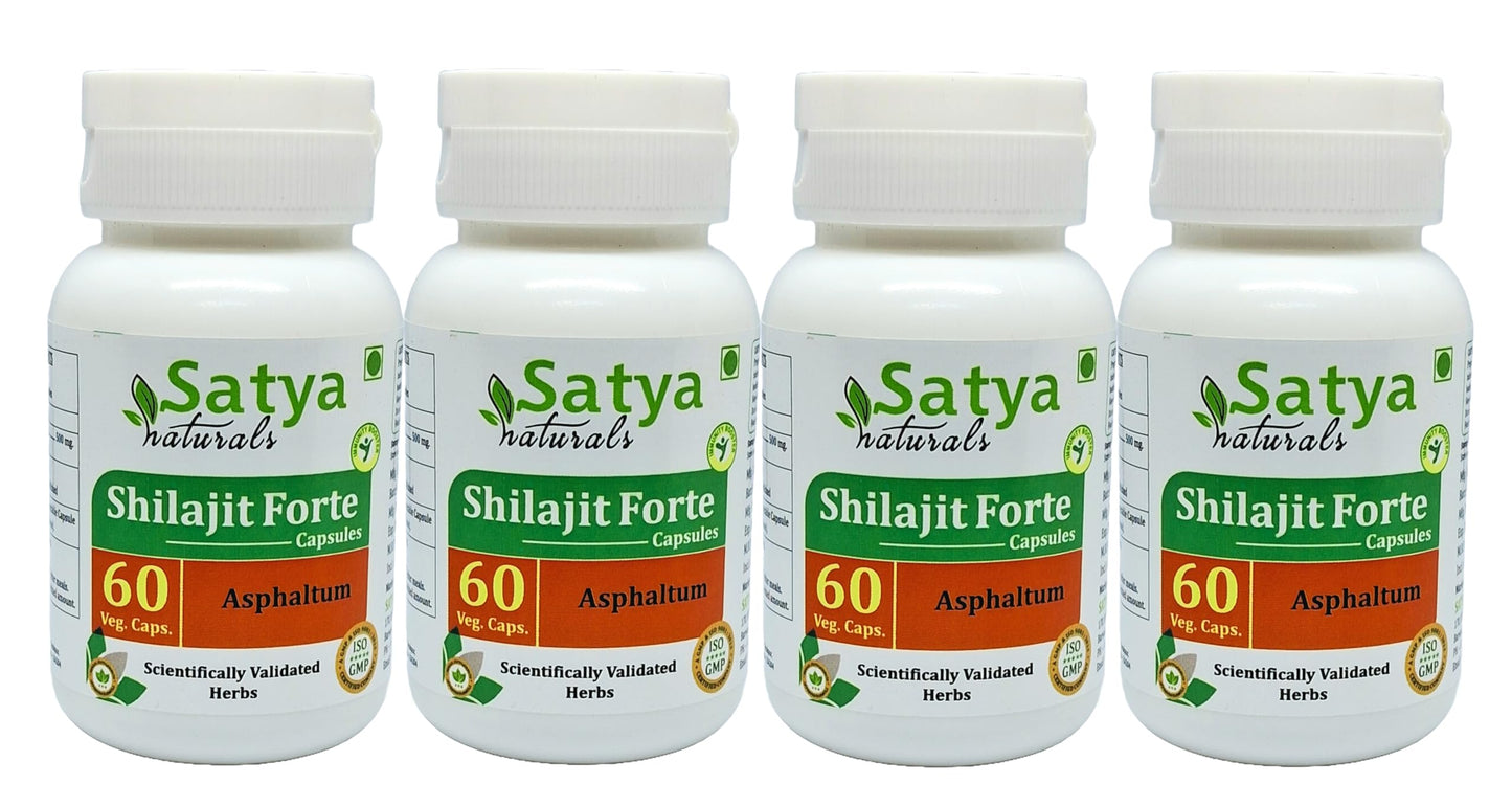 Satya Naturals Shilajit Forte 500 mg Capsules, 240 Count