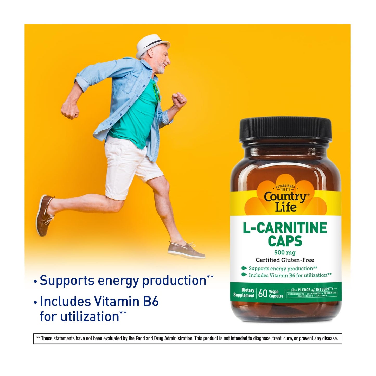 Country Life L-Carnitine 500 mg with Vitamin B6, 60 Capsules