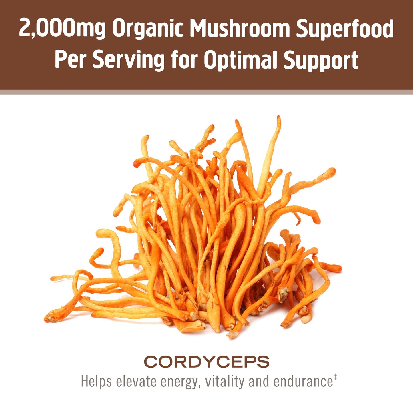 OM Mushroom Superfood Cordyceps Powder 7.04 oz
