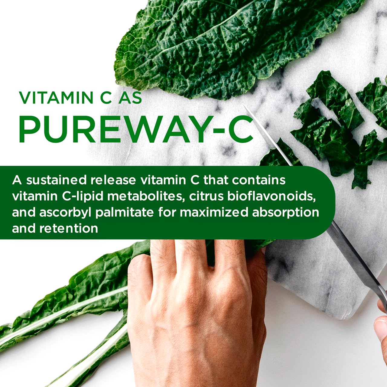 Emerald Labs Complete Premium Multi - Multivitamin for Digestive & Immune Support with Vitamin C as PureWay-C, B Vitamin Complex, Albion Chelated Zinc & More - 60 Capsules