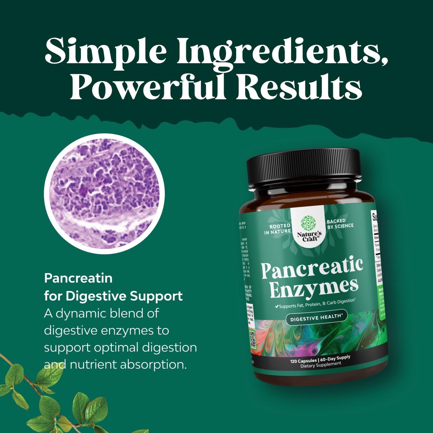 Natures Craft Pancreatin Digestive Enzymes Capsule 120