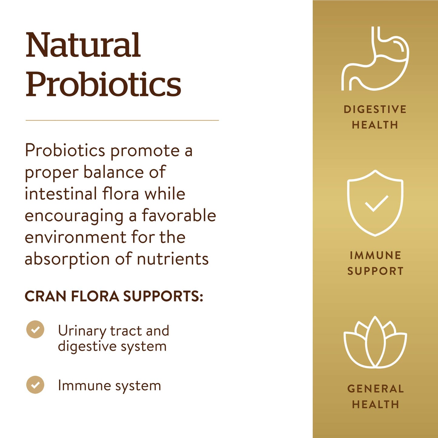 Solgar Cran Flora with Probiotics Plus Ester-C Capsules, 60 Count