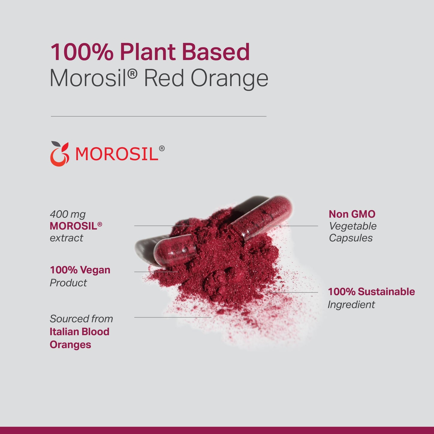 Anew Vita Morosil: Antioxidant & Nutrition Supplement 60 Capsules