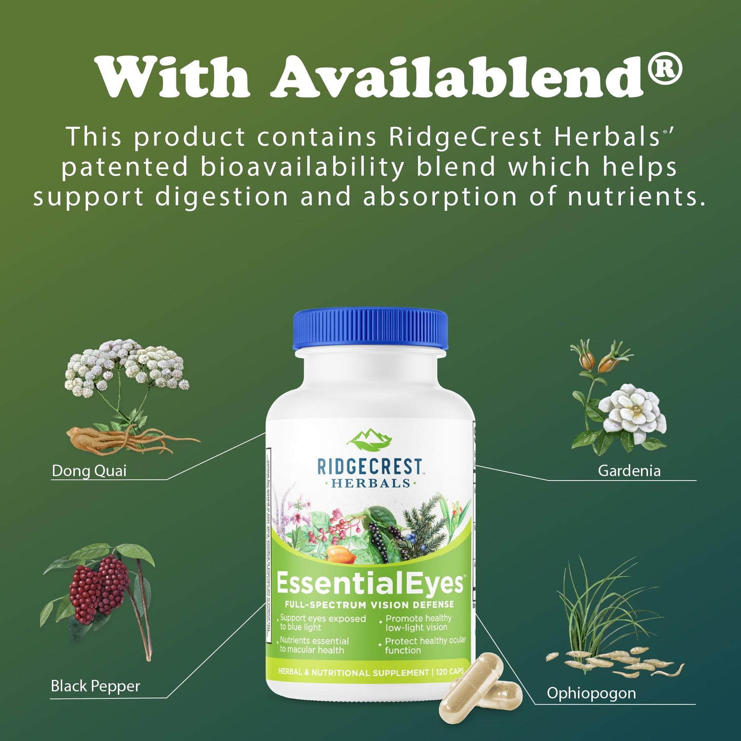 RidgeCrest Herbals EssentialEyes Capsules 120