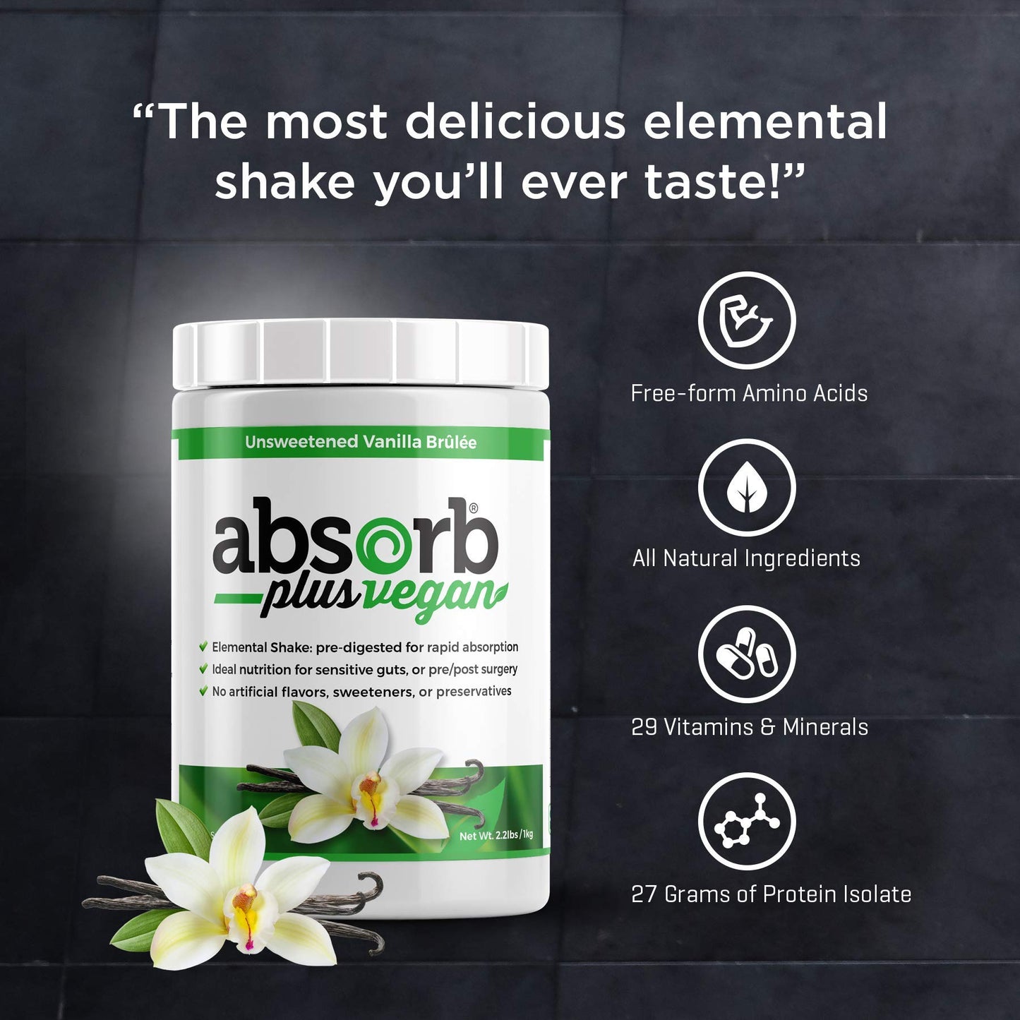 Absorb Plus Vegan Isolate Protein Organic Sprouted Rice Protein Powder, 3.53 Ounce