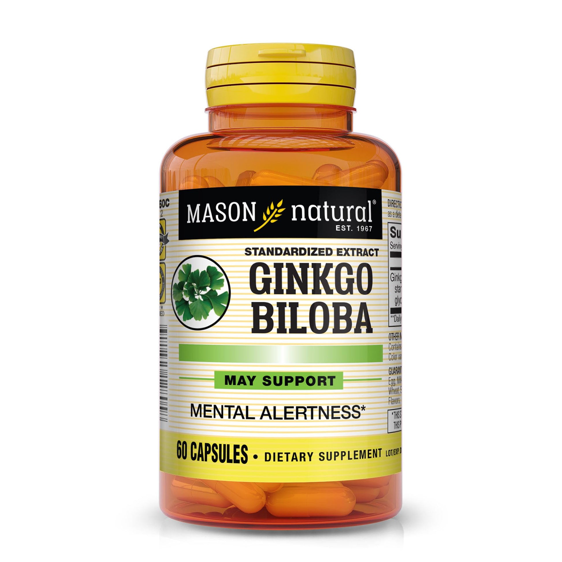 Mason Natural Ginkgo Biloba Capsule, 60 Count