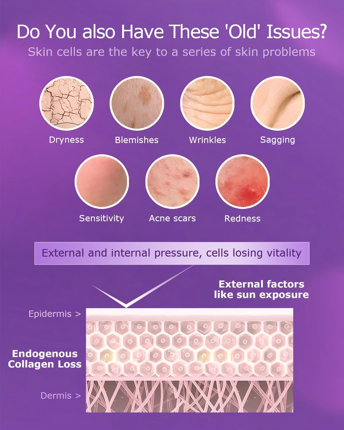 ESTHELIV Cellular Skin Recovery Supplement Capsule 30 Count