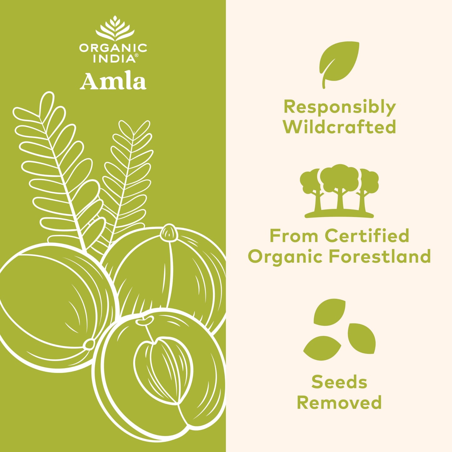 ORGANIC INDIA Amla 60 Capsules