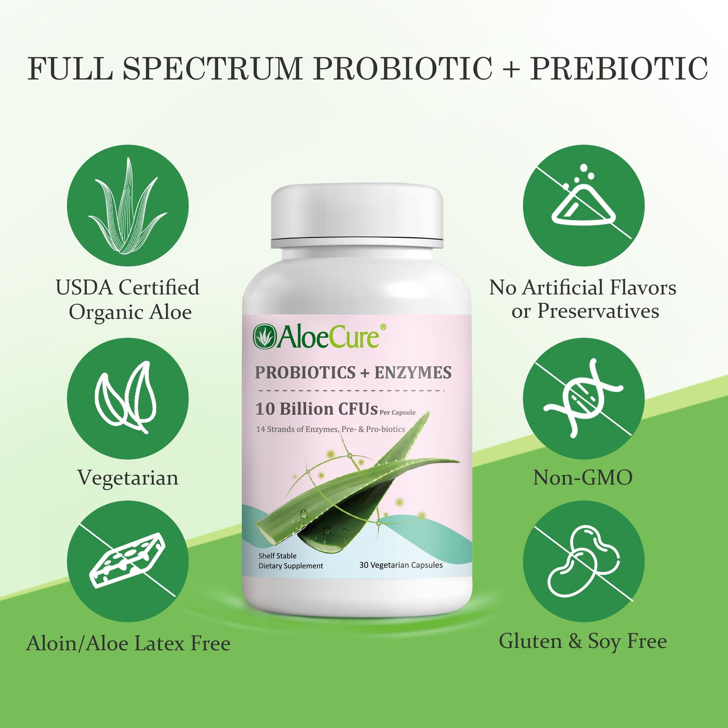 AloeCure Daily Probiotics 10 Billion CFUs + Enzymes & Prebiotics, 60 Capsules