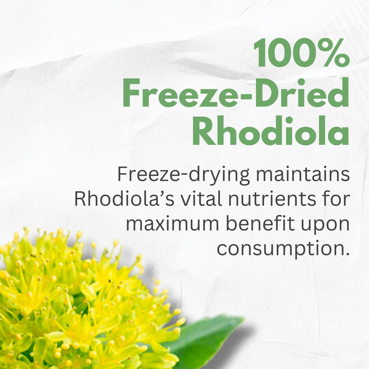 HCL Herbal Code Labs Rhodiola Rosea Supplement High Potency Extract 500mg with Ashwagandha, Shisandra & Passion Flower Capsules, 60 Count