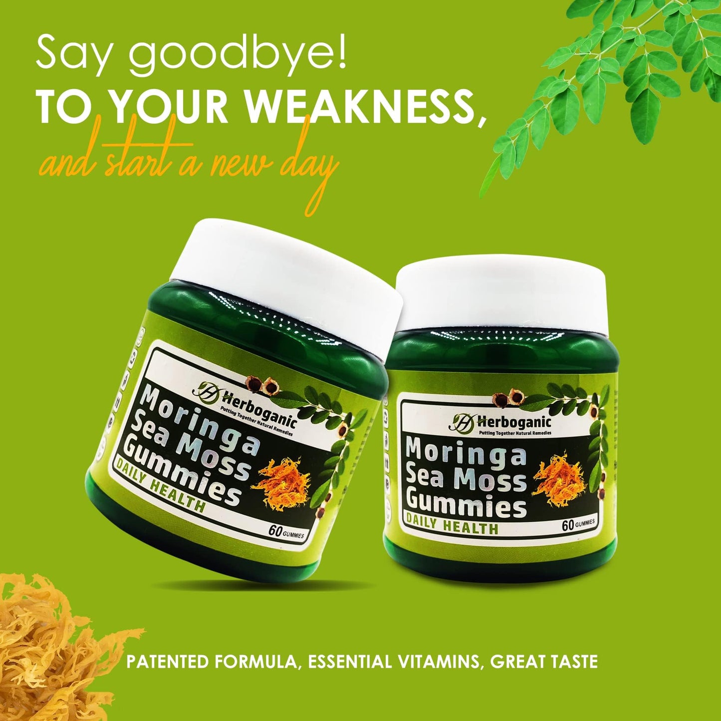 HERBOGANIC Moringa Sea Moss Gummies 60 Count
