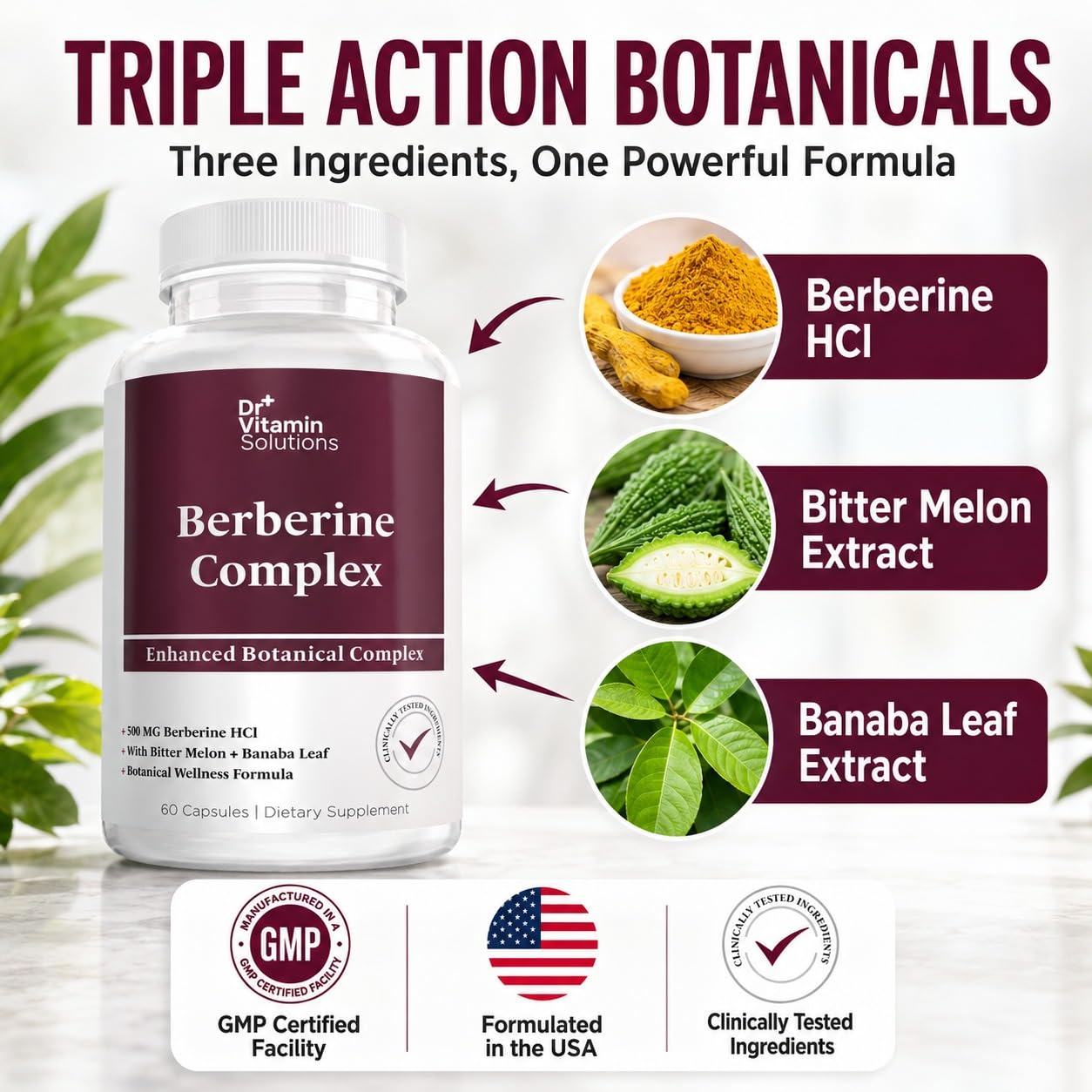 DR VITAMIN SOLUTIONS Berberine HCl 500mg Supplement with Bitter Melon and Banaba Leaf Extract 60 Capsules