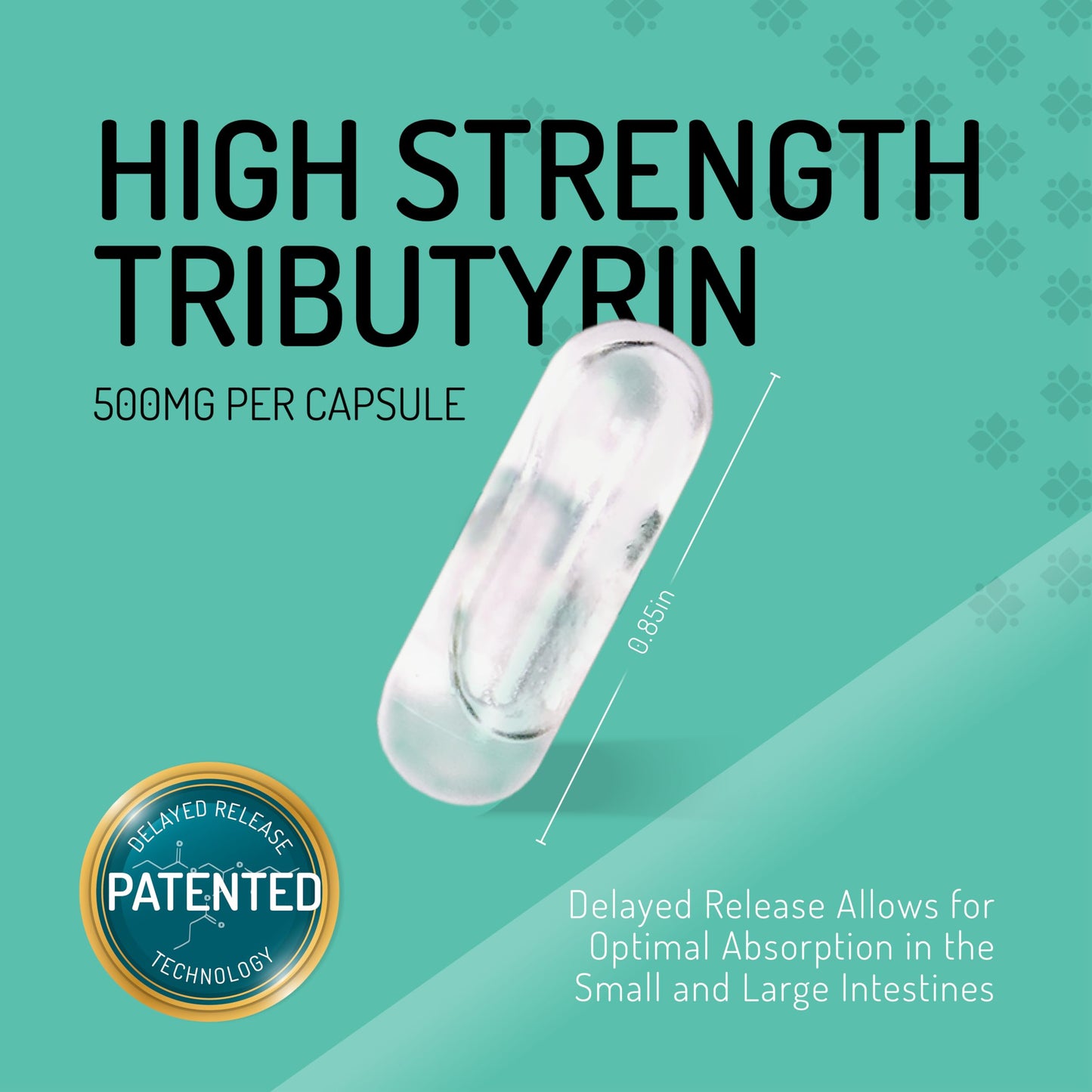 Healus Complete Biotic Postbiotic Tributyrin Supplement Butyrate Gut Health 60 Capsules