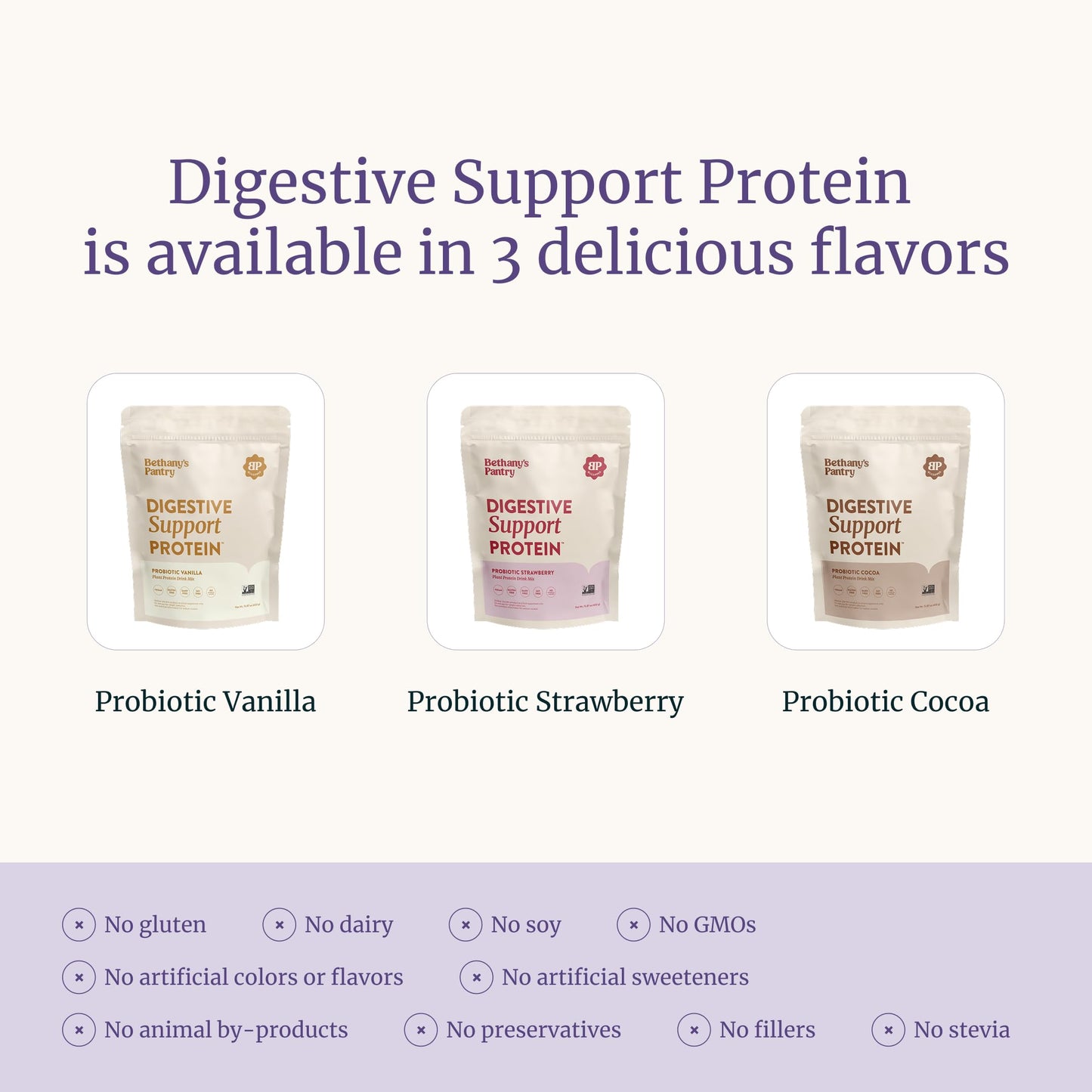 BETHANY'S PANTRY Digestive Support Protein Powder 15.87 Ounce